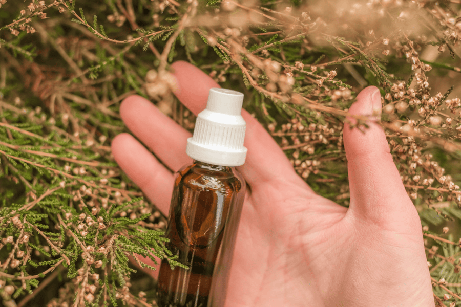Herbal Tinctures for Your Wellness: All You Need to Know