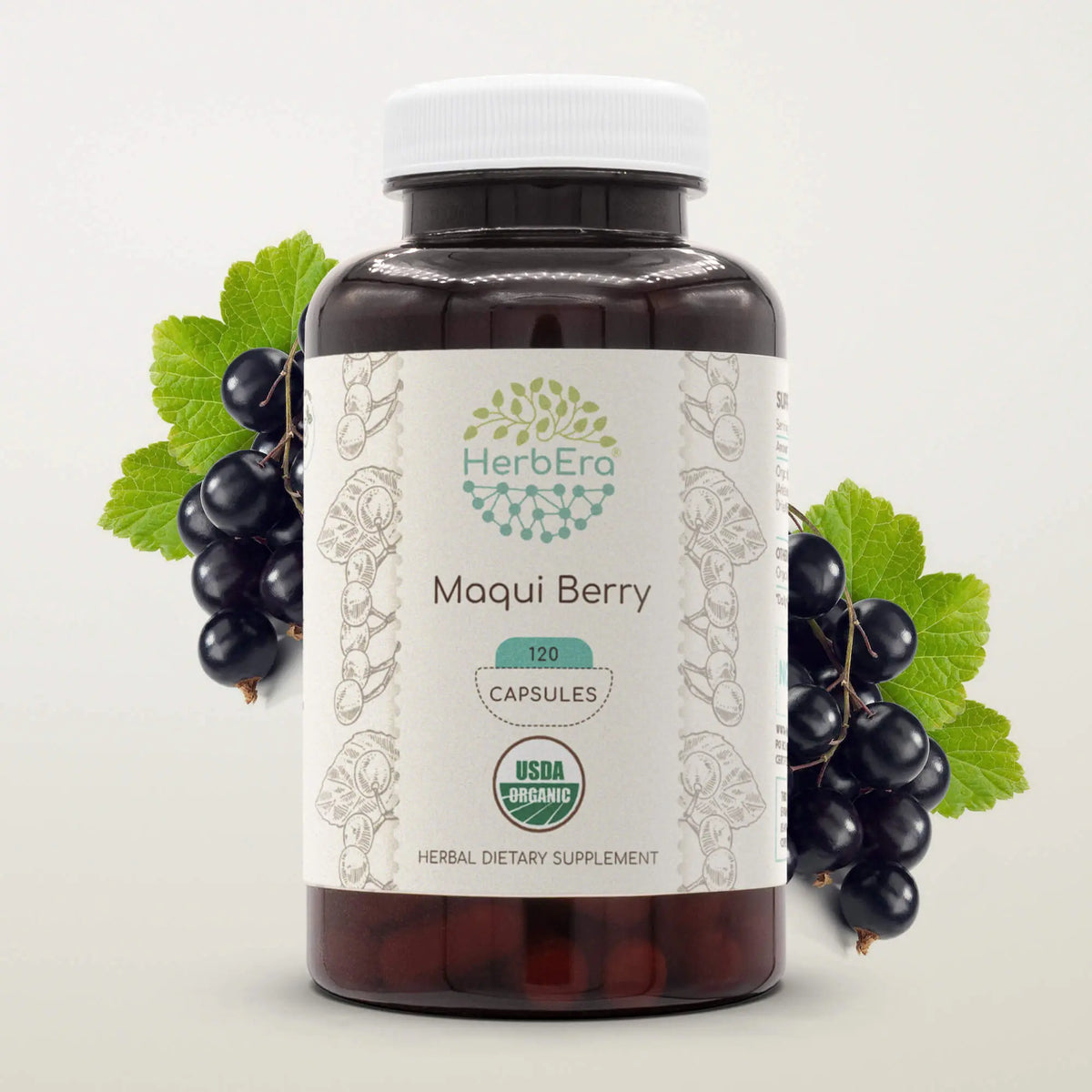 maqui berry weight loss reviews Maqui Berry Capsules