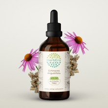 Load image into Gallery viewer, Echinacea Angustifolia Tincture