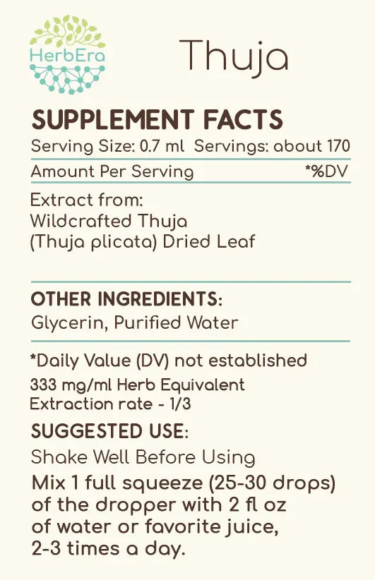 thuja materia medica Thuja Tincture – Supports Respiratory Wellness & Balance – HerbEra