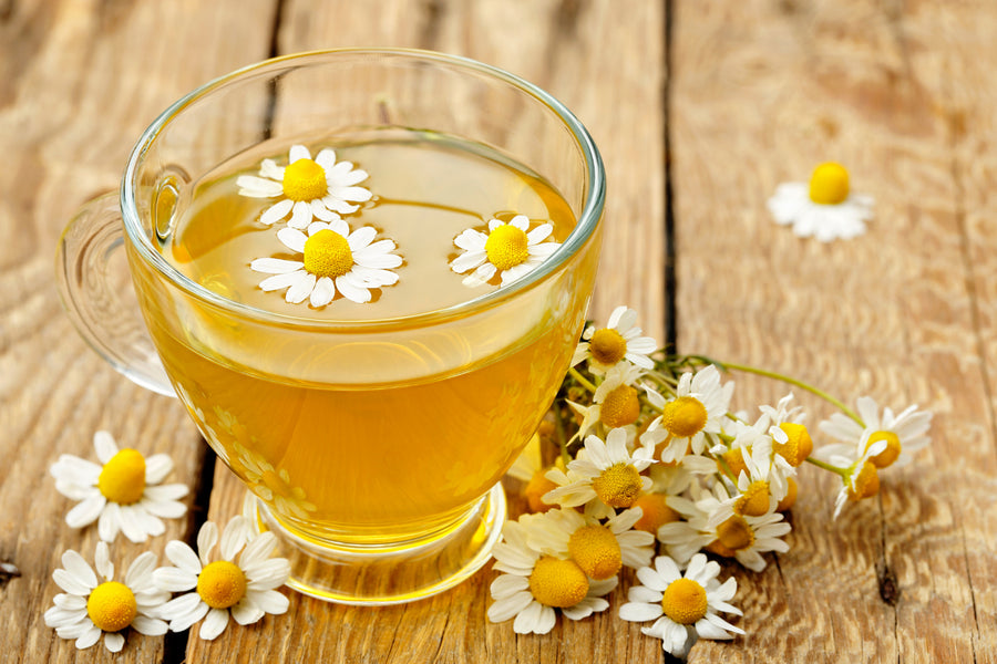 Library of Nature: Chamomile