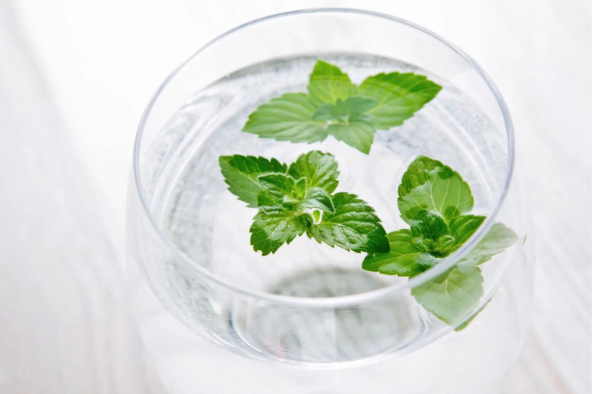 <p>This image presents a top-down view of a clear glass filled with water, adorned with three sprigs of vibrant green mint. The glass itself has a rounded, slightly flared shape, typical of a cocktail or wine glass, and is almost entirely filled with the clear liquid, creating a sense of refreshment. The water appears pristine and still, with subtle distortions visible through it due to the glass’s curvature. The mint leaves are the focal point, displaying a range of green shades, from lighter, almost lime hues to deeper, richer tones. Each leaf exhibits a delicate texture, with visible veins and slightly ruffled edges. The mint sprigs are arranged artfully within the glass, overlapping slightly and creating a visually appealing composition. The background is a soft, out-of-focus white, likely a linen or cotton fabric, which provides a clean and minimalist backdrop that emphasizes the freshness of the mint and water. The lighting is bright and even, highlighting the clarity of the water and the vivid color of the mint. Overall, the image evokes a feeling of coolness, purity, and natural wellness, suggesting a healthy and invigorating beverage or a simple, elegant garnish.