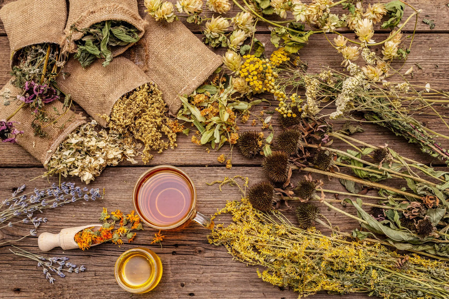 Busting Common Myths about Herbal Medicine