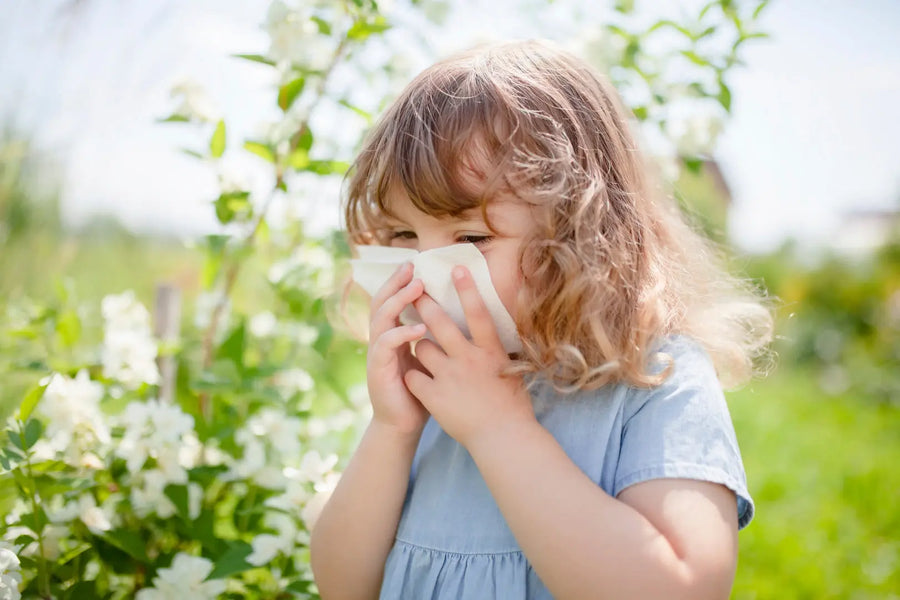 Herbs Against Seasonal Allergies