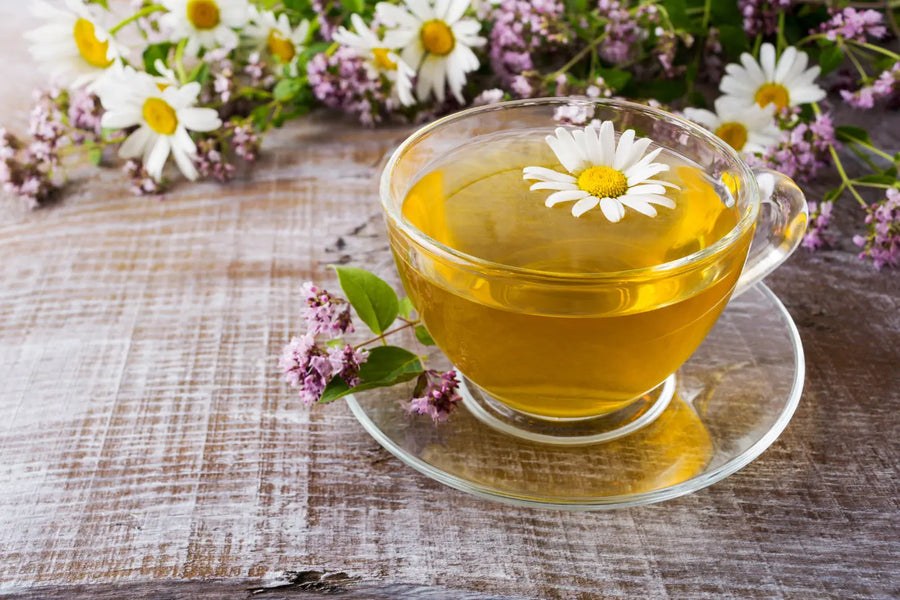 5 Best Herbs to Soothe Your Mind and Body