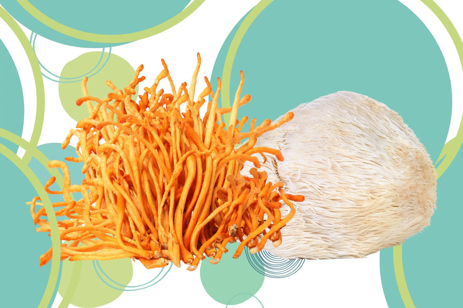 Cordyceps vs Lion's Mane Mushroom: Which One Is Better?