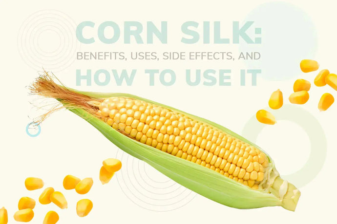 Corn Silk: Benefits, Uses, Side Effects, and How to Use It