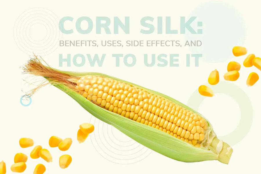 Corn Silk: Benefits, Uses, Side Effects, and How to Use It