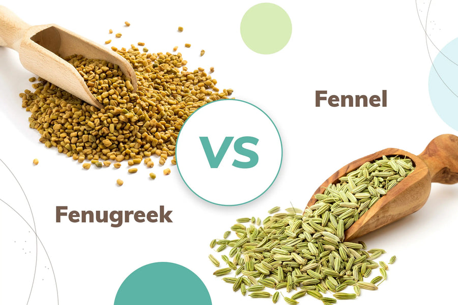 Fenugreek Vs Fennel: Which is better?