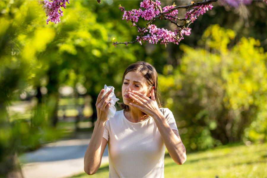 Herbs for Allergies: 6 Natural Remedies for Allergy Sufferers