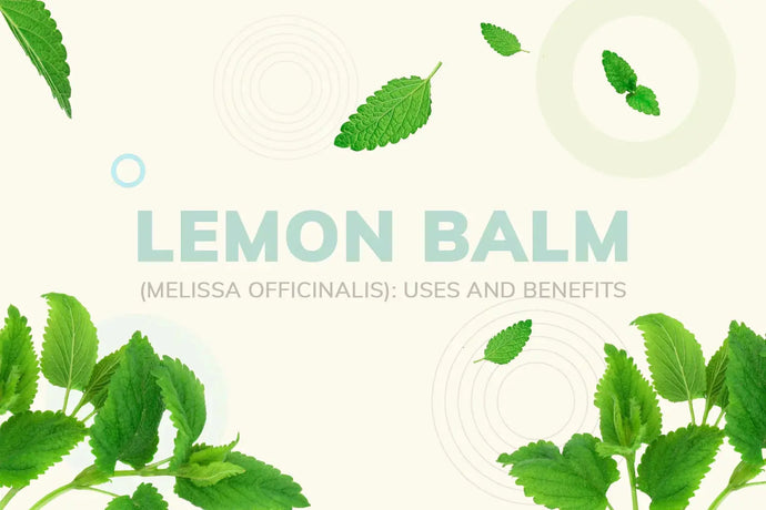 Lemon Balm (Melissa officinalis): Uses and Benefits