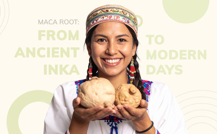 Maca Root: From Ancient Inka to Modern Days