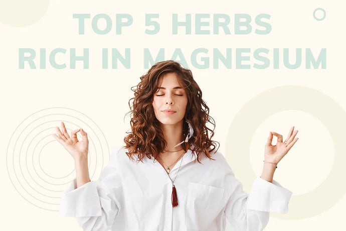 Top 5 Herbs Rich in Magnesium
