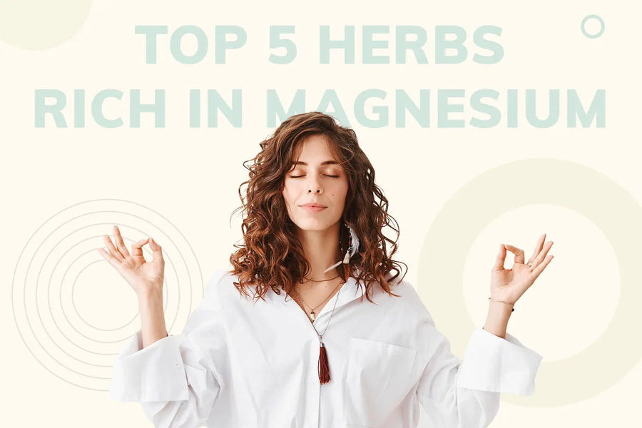 Top 5 Herbs Rich in Magnesium