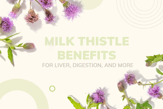 Milk Thistle Benefits for Liver, Digestion, and More