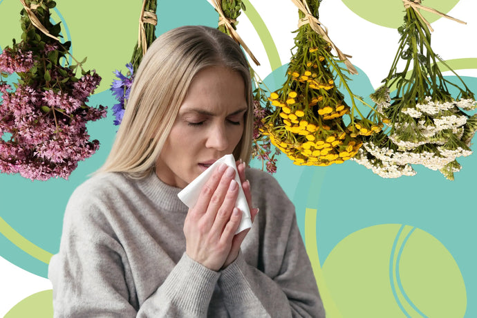 Natural Support for Respiratory Health: Top 5 Herbs for Respiratory Infection