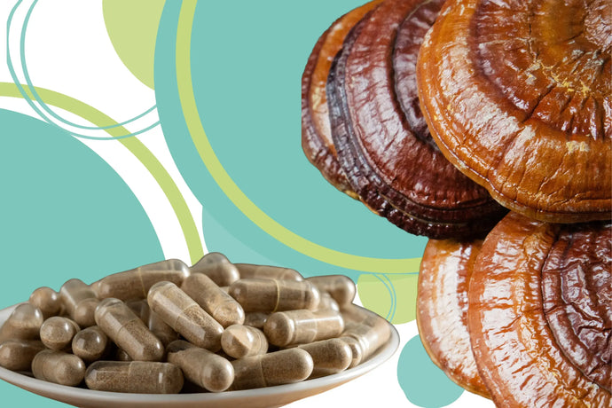 Reishi Mushroom (Lingzhi): Top Benefits and Uses Explained