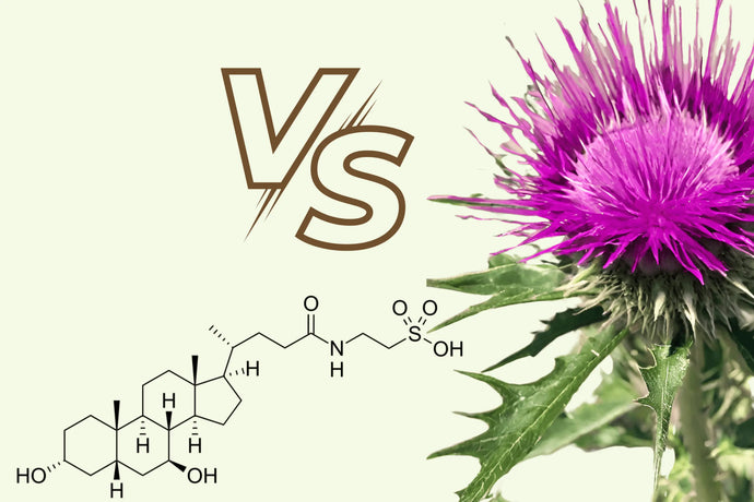 TUDCA vs Milk Thistle: Which Is Better For Liver Health?