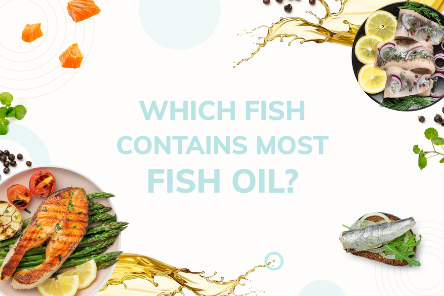 Which Fish Contains Most Fish Oil?