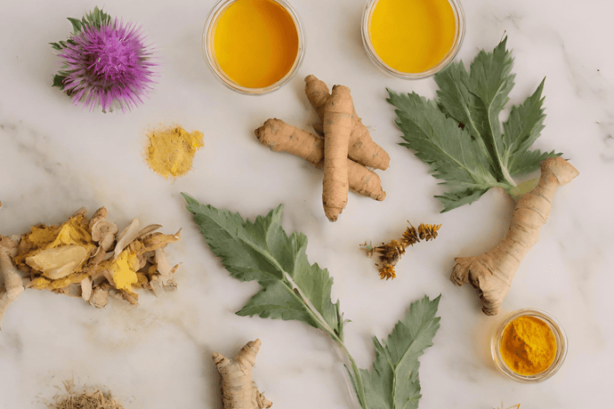 Gentle Detox: The Power of Herbs for Cleansing