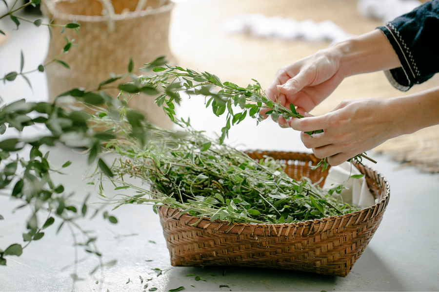 Top Herbs For Natural Health You Should Pick Up