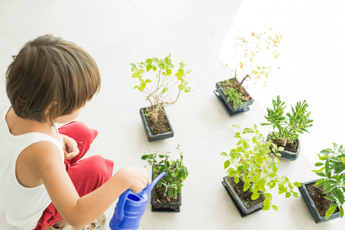 Herbs For Kids: A Parent's Guide to Natural Remedies
