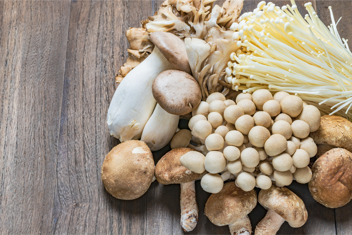 Fungi Support: Top 5 Best Mushrooms for Mental Health