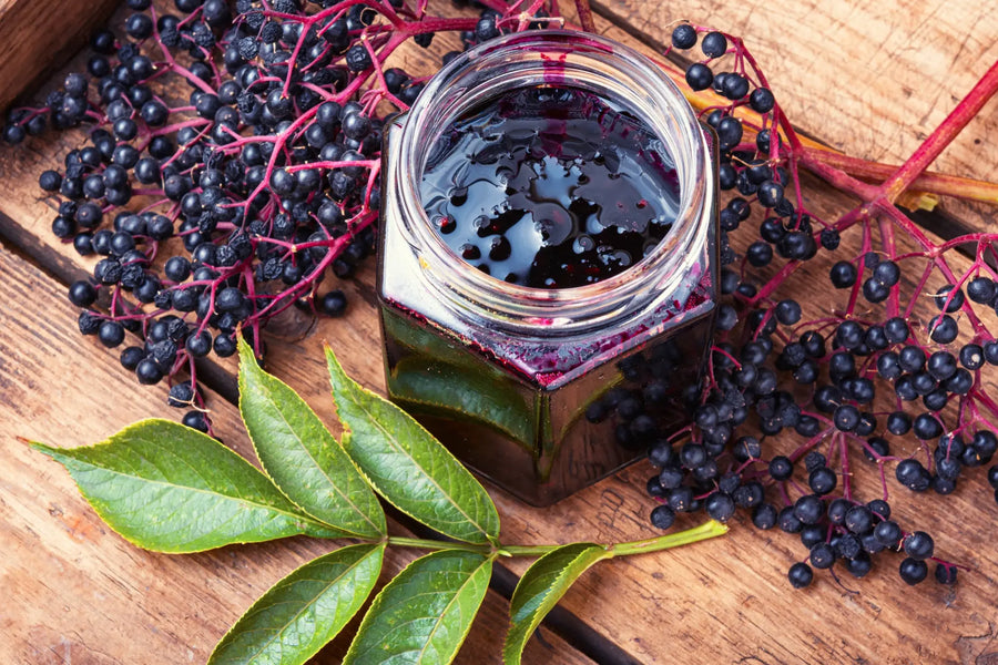 4 Berries Everyone Should Eat to Improve Their Health. Fruit benefits