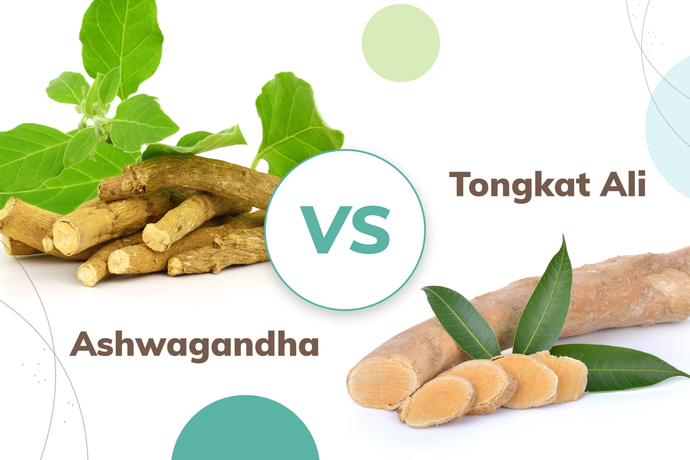 Tongkat Ali Vs Ashwagandha: Which One to Choose?