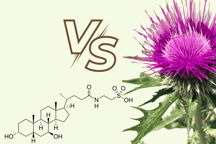 TUDCA vs Milk Thistle: Which Is Better For Liver Health?