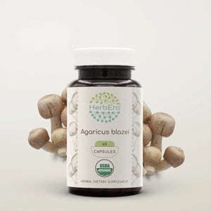 Agaricus Blazei Capsules herbera Agaricus Blazei Capsules herbera Capsules