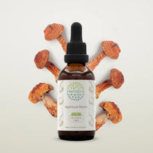 Load image into Gallery viewer, Agaricus Blazei Tincture