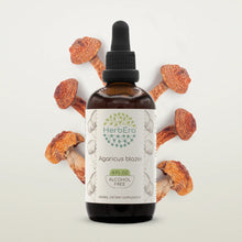 Load image into Gallery viewer, Agaricus Blazei Tincture