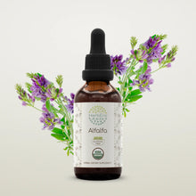 Load image into Gallery viewer, Alfalfa Tincture