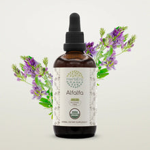 Load image into Gallery viewer, Alfalfa Tincture