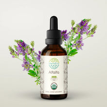 Load image into Gallery viewer, Alfalfa Tincture herbera Alfalfa Tincture herbera Herbal Extract