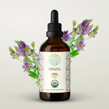 Load image into Gallery viewer, Alfalfa Tincture herbera Alfalfa Tincture herbera Herbal Extract