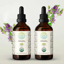 Load image into Gallery viewer, Alfalfa Tincture herbera Alfalfa Tincture herbera Herbal Extract