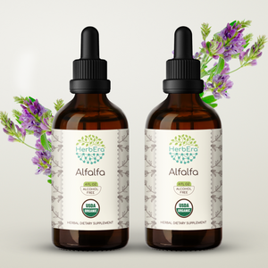 Alfalfa Tincture