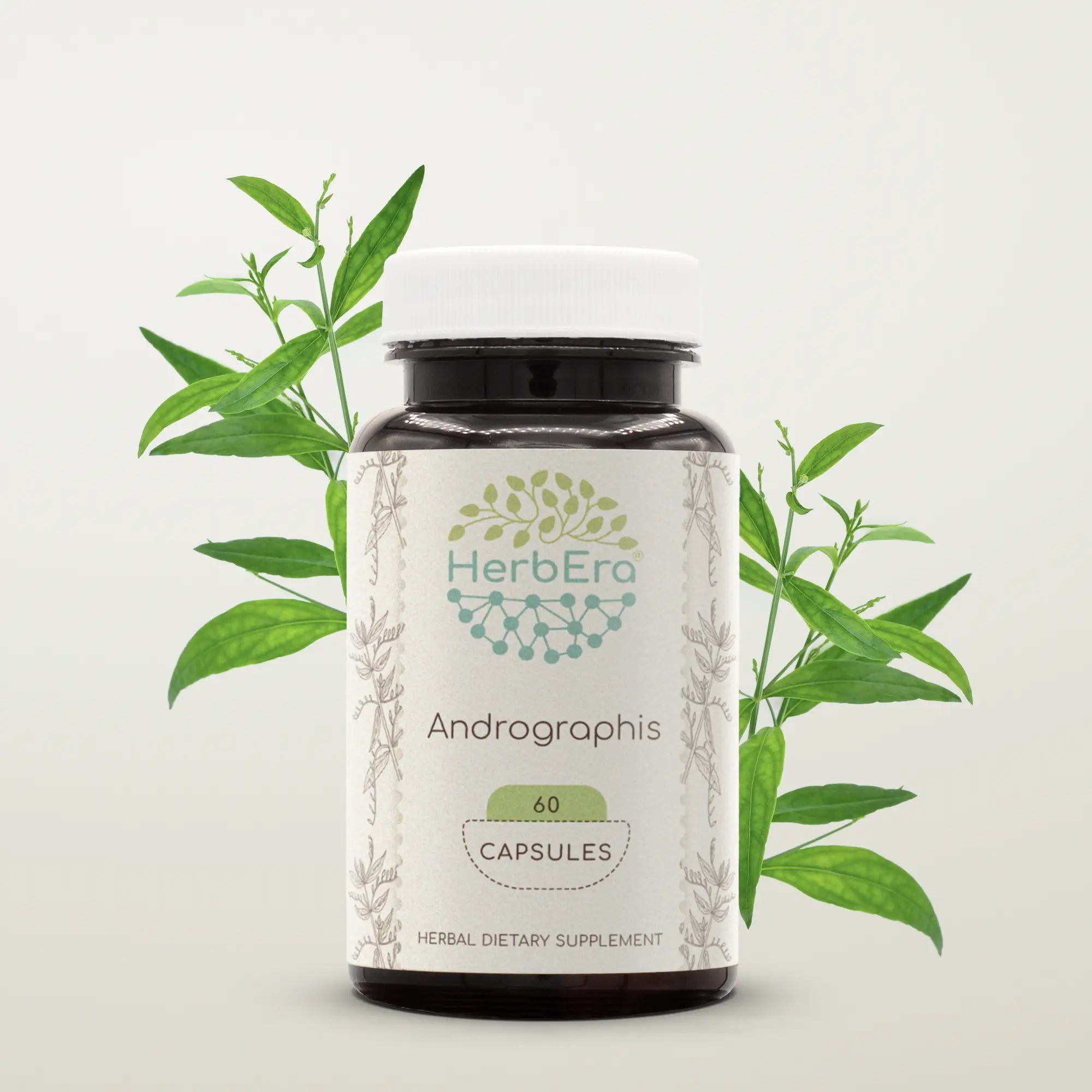 Andrographis Capsules