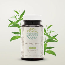 Load image into Gallery viewer, Andrographis Capsules