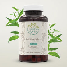 Load image into Gallery viewer, Andrographis Capsules