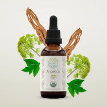 Load image into Gallery viewer, Angelica Tincture