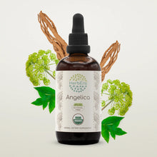 Load image into Gallery viewer, Angelica Tincture