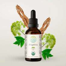 Load image into Gallery viewer, Angelica Tincture herbera Angelica Tincture herbera Herbal Extract