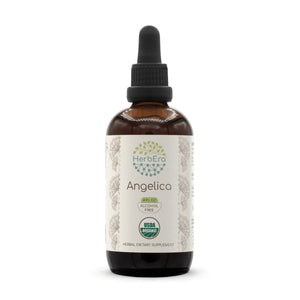 Angelica Tincture herbera Angelica Tincture herbera Herbal Extract