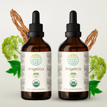 Load image into Gallery viewer, Angelica Tincture herbera Angelica Tincture herbera Herbal Extract