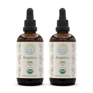 Angelica Tincture herbera Angelica Tincture herbera Herbal Extract