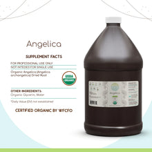 Load image into Gallery viewer, Angelica Tincture herbera Angelica Tincture herbera Herbal Extract