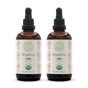 Angelica Tincture herbera Angelica Tincture herbera Herbal Extract